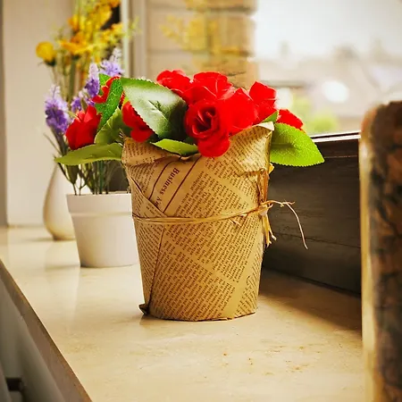 Jakz * Herten (North Rhine-Westphalia)